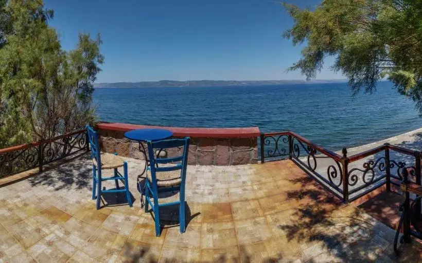 Lela Kaptani Eftalou Olive Grove