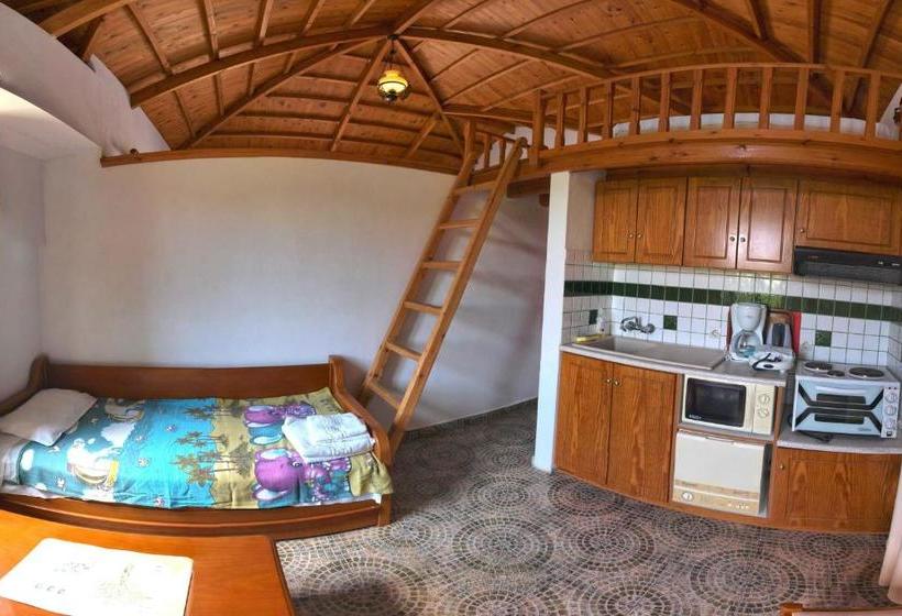 Lela Kaptani Eftalou Olive Grove