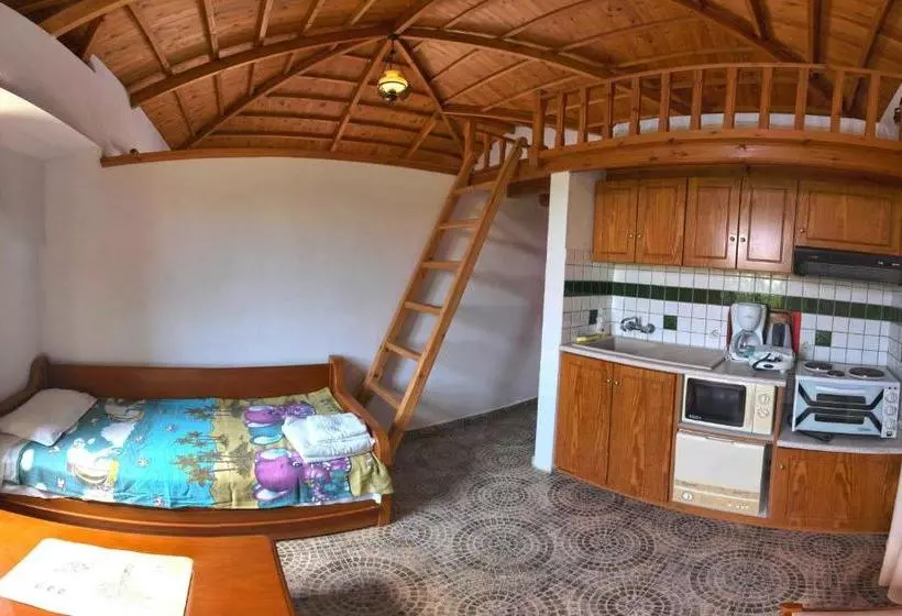 Lela Kaptani Eftalou Olive Grove