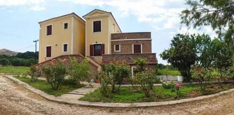 Lela Kaptani Eftalou Olive Grove