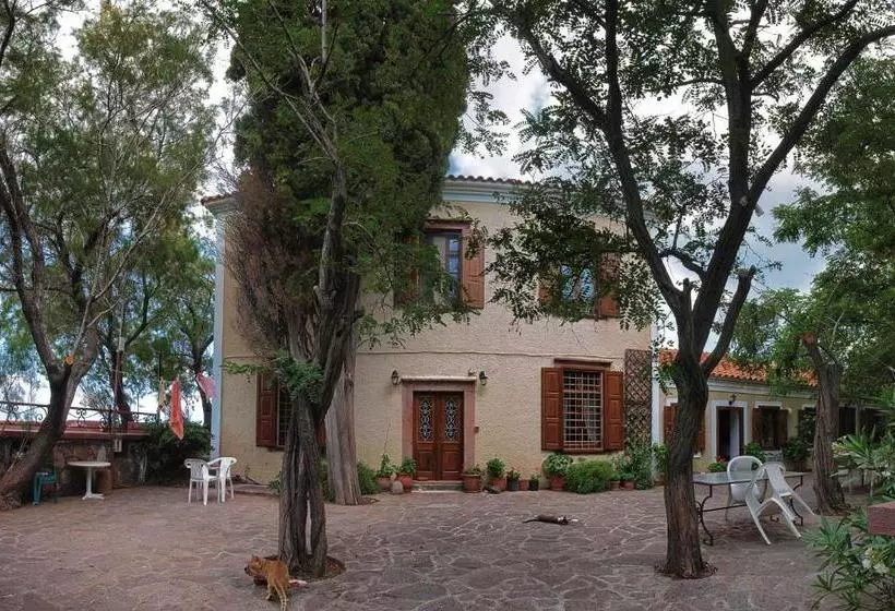 Lela Kaptani Eftalou Olive Grove