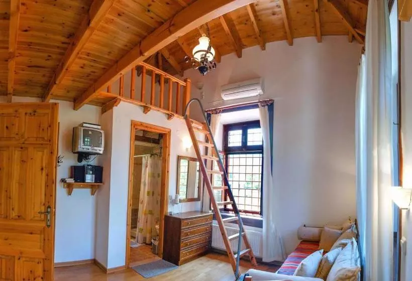 Lela Kaptani Eftalou Olive Grove