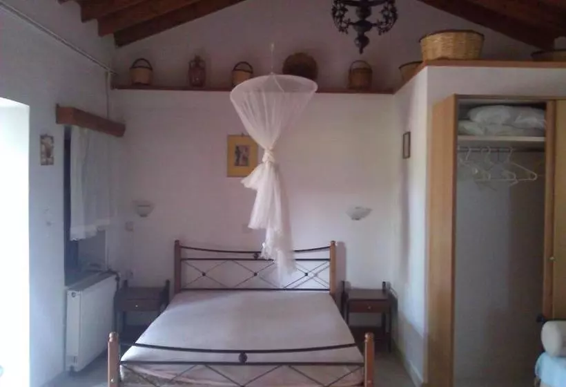 Lela Kaptani Eftalou Olive Grove