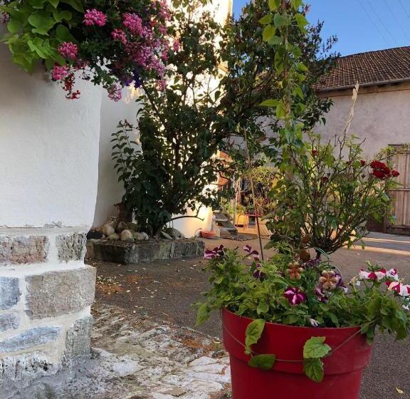 민박 Metris Gaelle