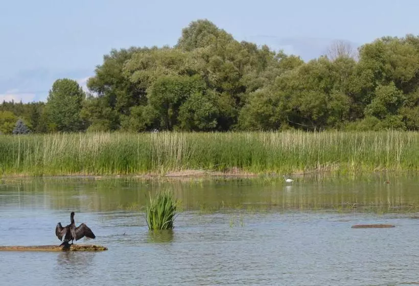 Majatalo Romantic Studio Cottage