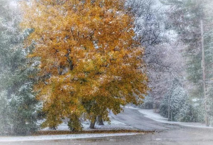 Majatalo Romantic Studio Cottage