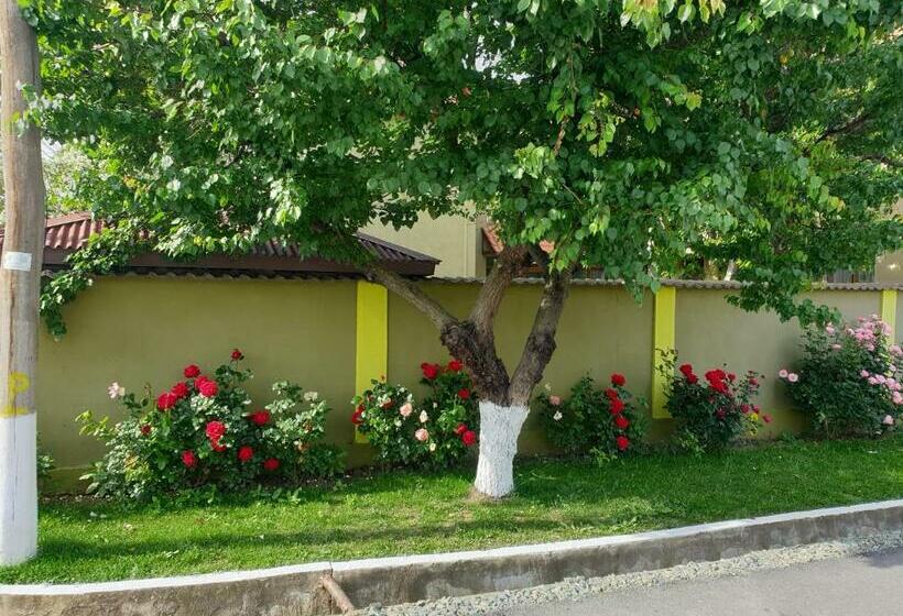 膳宿费 Villa Mugur