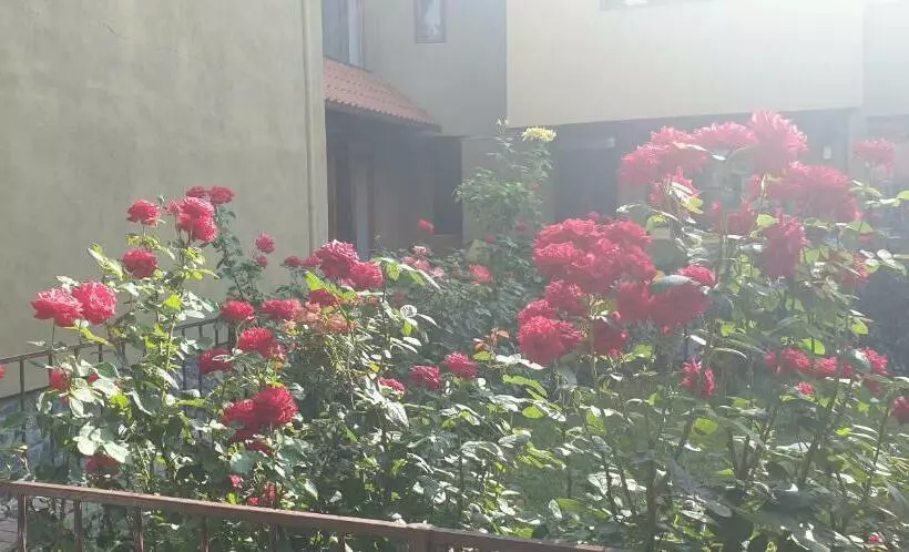 Majatalo Villa Mugur