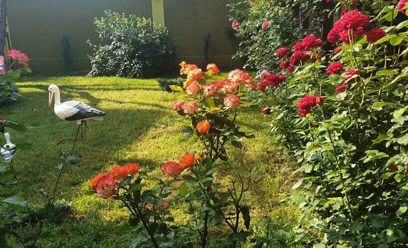 膳宿费 Villa Mugur