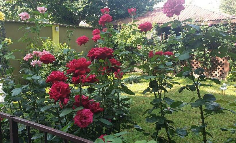 膳宿费 Villa Mugur