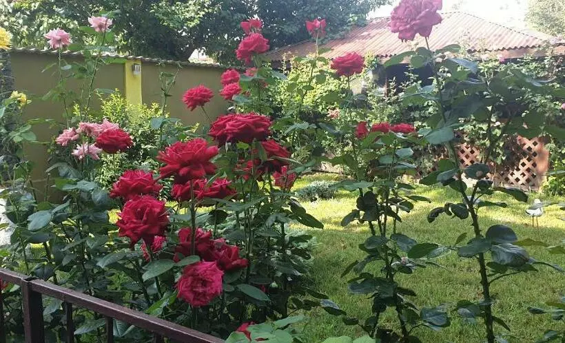 Majatalo Villa Mugur