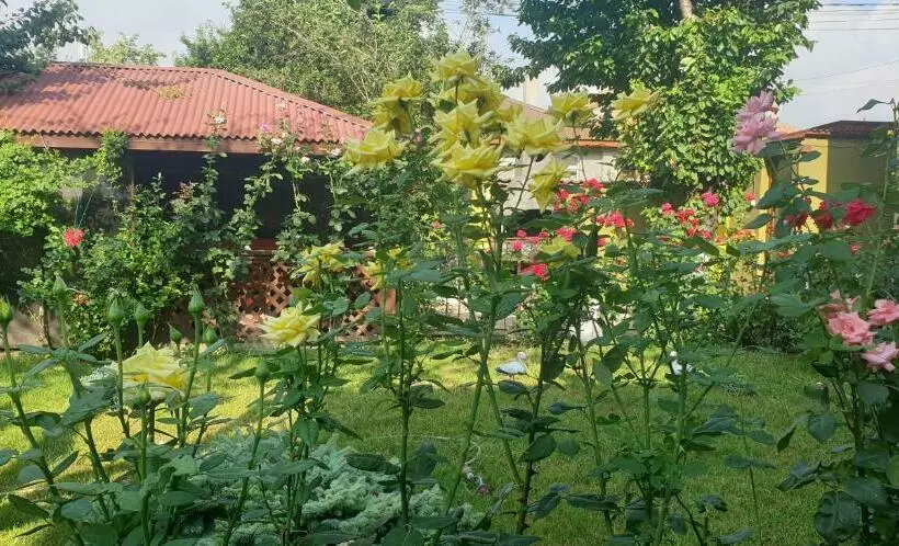 Majatalo Villa Mugur