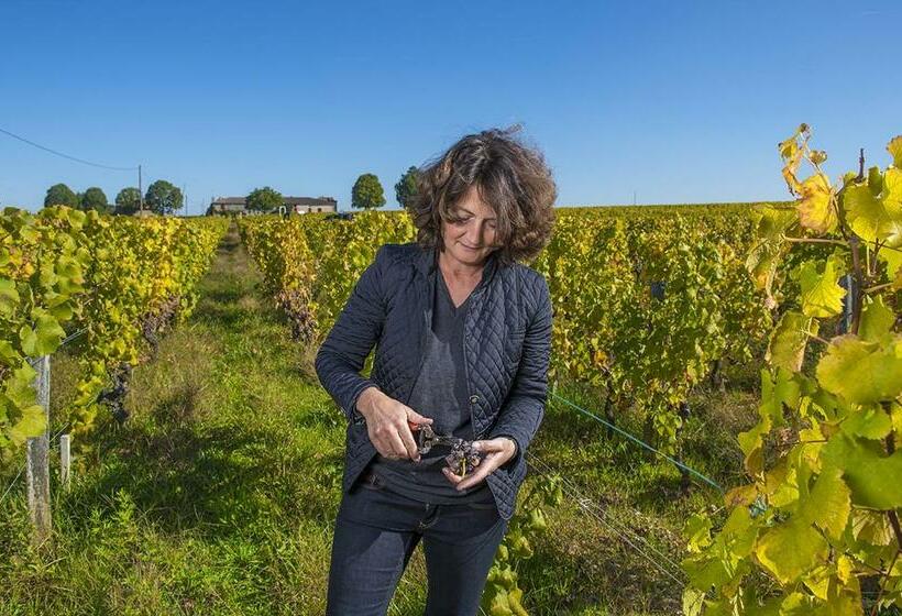 צימר Château Sigalas Rabaud