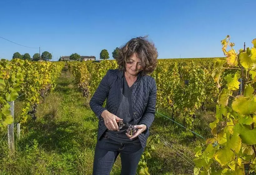 Aamiaismajoitus (B&B) Château Sigalas Rabaud