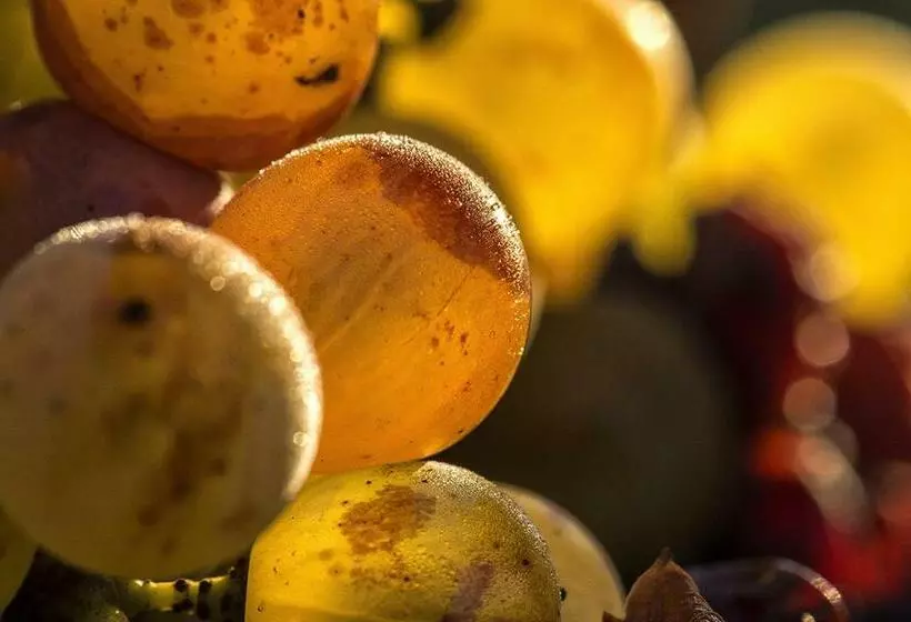 Aamiaismajoitus (B&B) Château Sigalas Rabaud