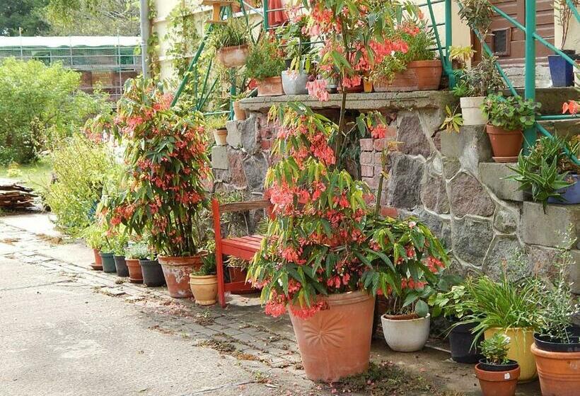 Bed & Breakfast Mühle Himmelpfort