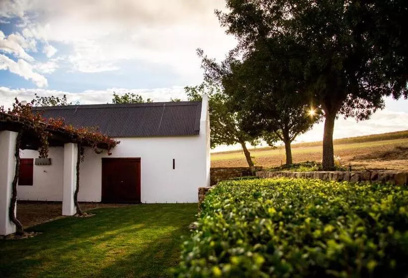 ホテル Vineyard Cottage At Bosman Wines