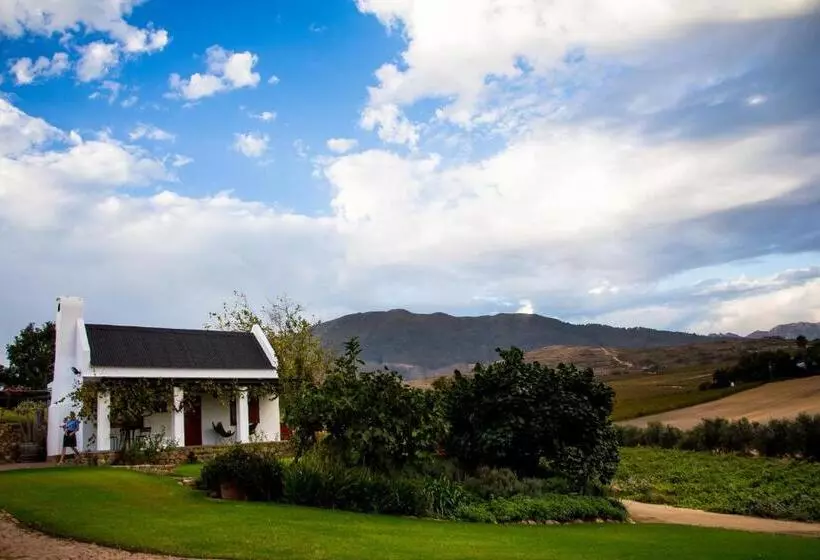 ホテル Vineyard Cottage At Bosman Wines