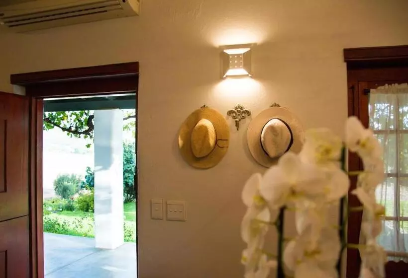 ホテル Vineyard Cottage At Bosman Wines