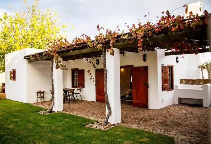 ホテル Vineyard Cottage At Bosman Wines