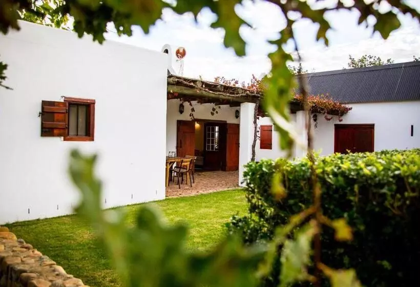 ホテル Vineyard Cottage At Bosman Wines