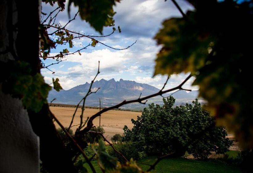 فندق Vineyard Cottage At Bosman Wines