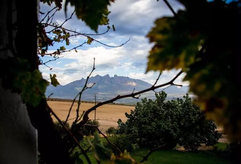 ホテル Vineyard Cottage At Bosman Wines