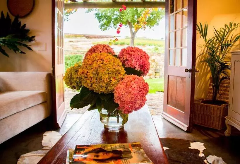 ホテル Vineyard Cottage At Bosman Wines