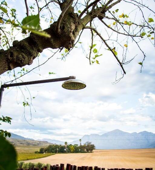 فندق Vineyard Cottage At Bosman Wines