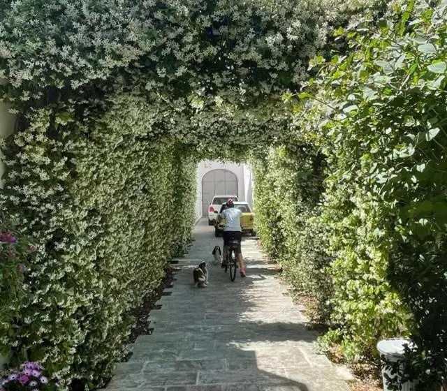 Majatalo Bartago Luxury House