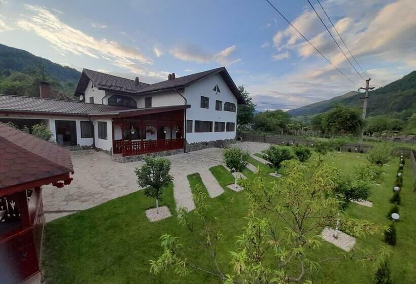 Пансион Casa Toader