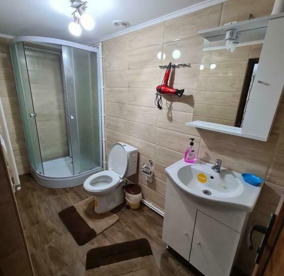 Пансион Casa Toader