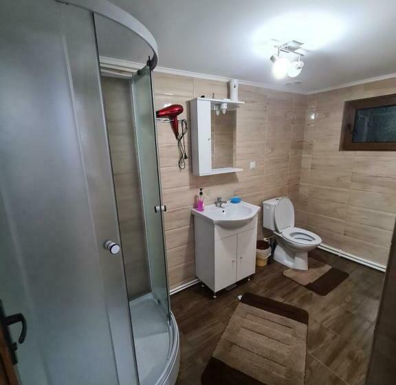 Пансион Casa Toader