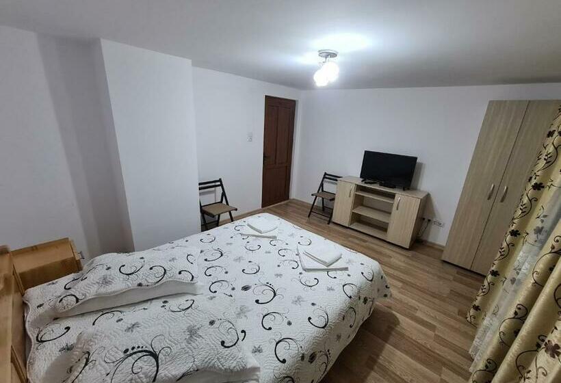 Пансион Casa Toader