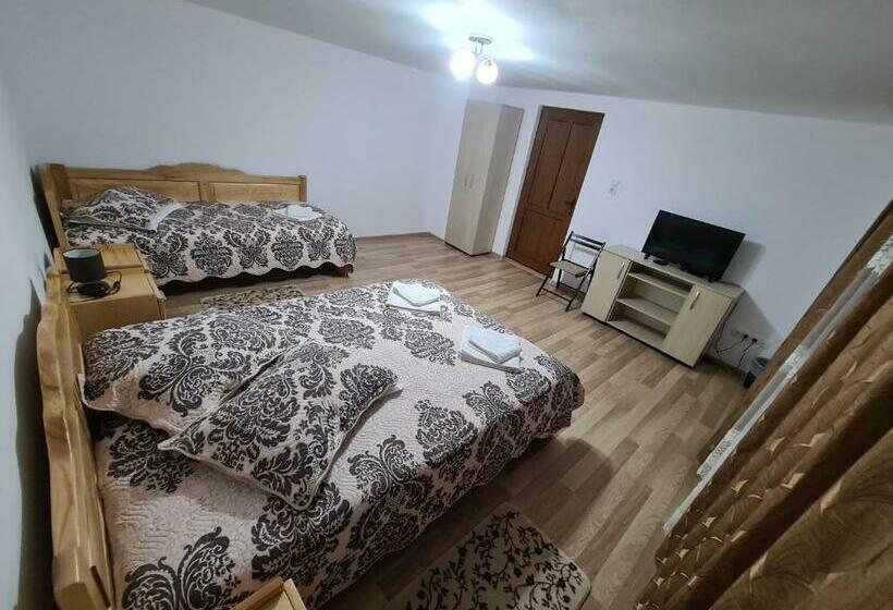 Пансион Casa Toader