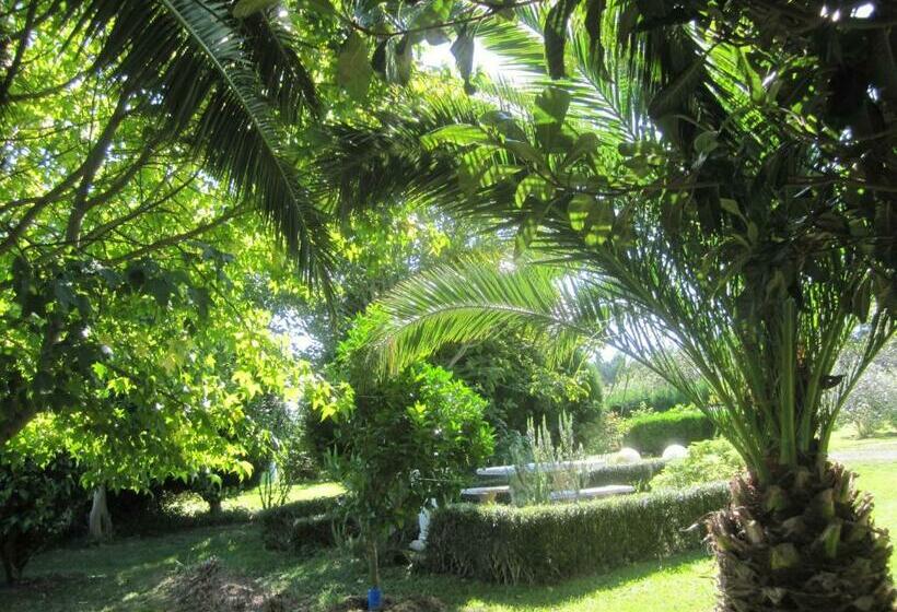 膳宿费 Infincavacations Chalet Y Apartamentos