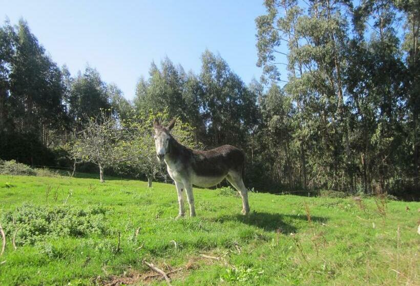 膳宿费 Infincavacations Chalet Y Apartamentos