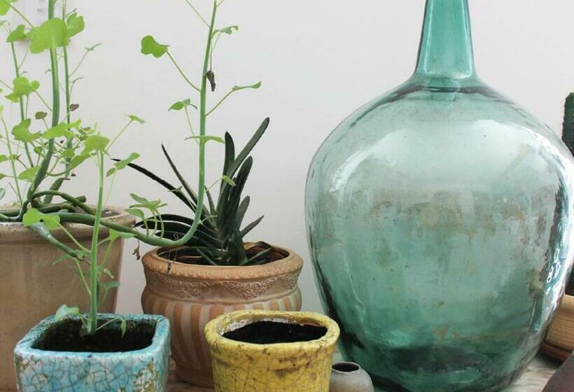 Aamiaismajoitus (B&B) Midi03