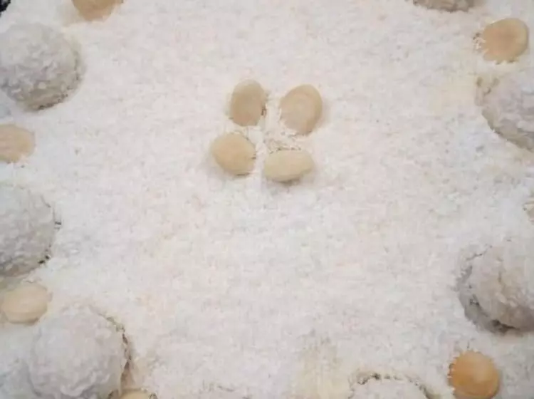 Family Hotel Bulgaria