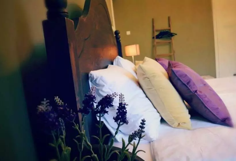 Bed and Breakfast Devilla