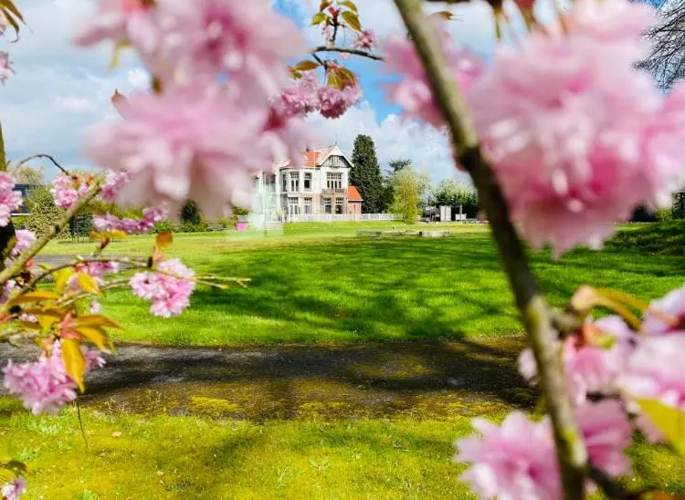 Bed and Breakfast Devilla