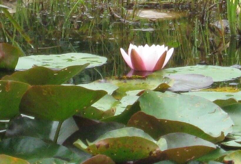 צימר Fewo Landhaus Ederlust Heilungsräume Ev