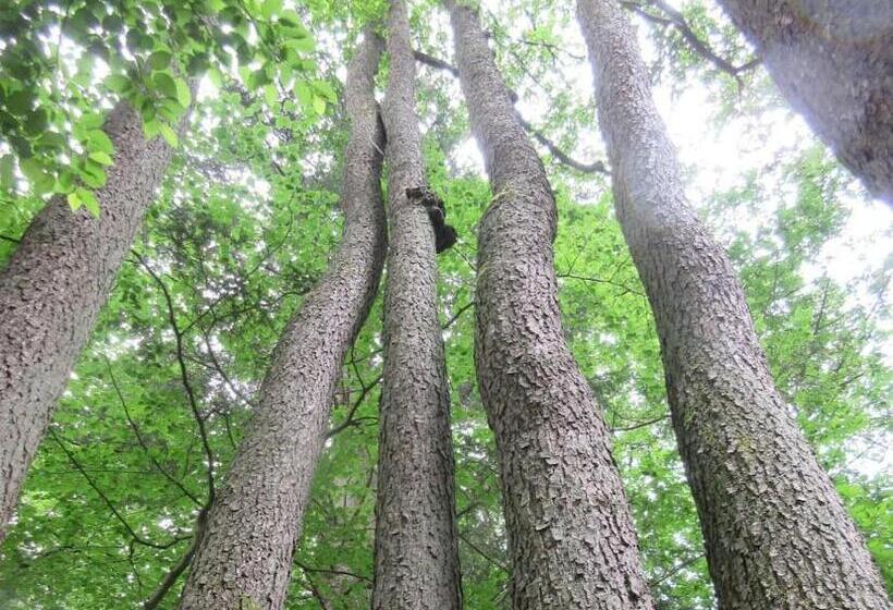 צימר Fewo Landhaus Ederlust Heilungsräume Ev