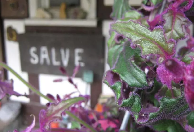 Aamiaismajoitus (B&B) Fewo Landhaus Ederlust Heilungsräume Ev