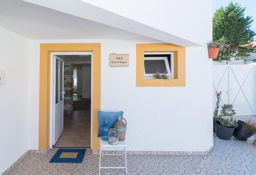 Bed and Breakfast Quinta Bogesi