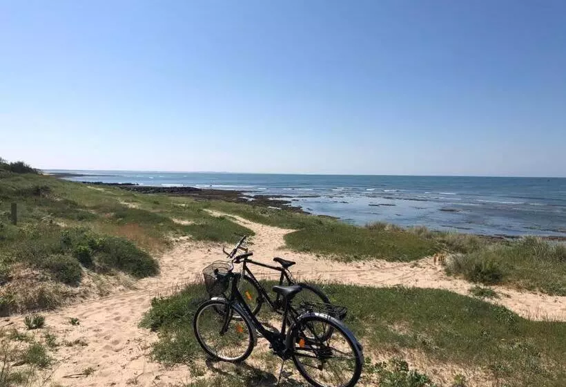 Clos Des Aigrettes, Gîtes à La Cotinière