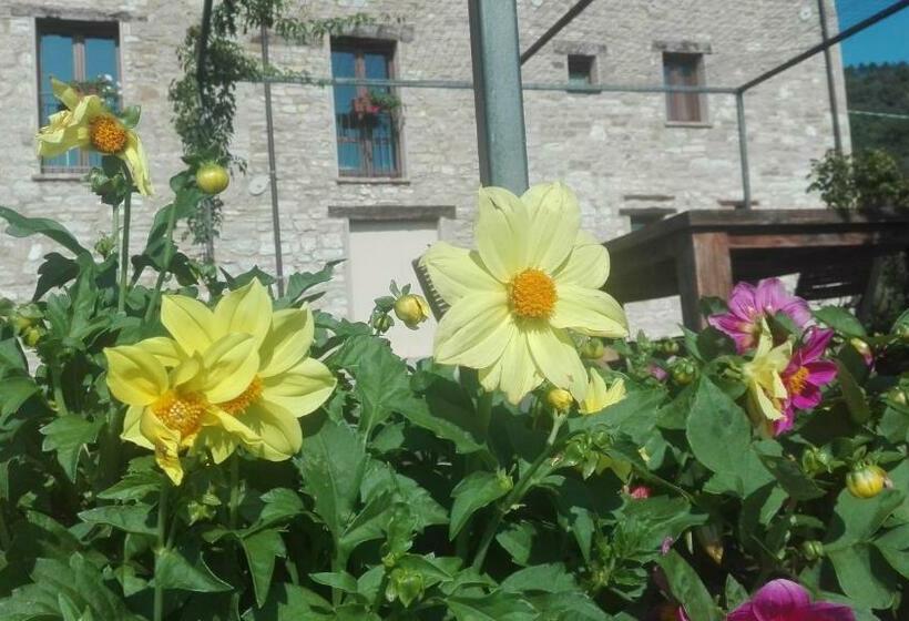 פנסיון Casale Le Fontanelle