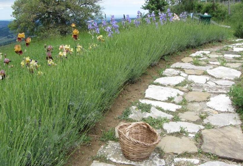 פנסיון Casale Le Fontanelle