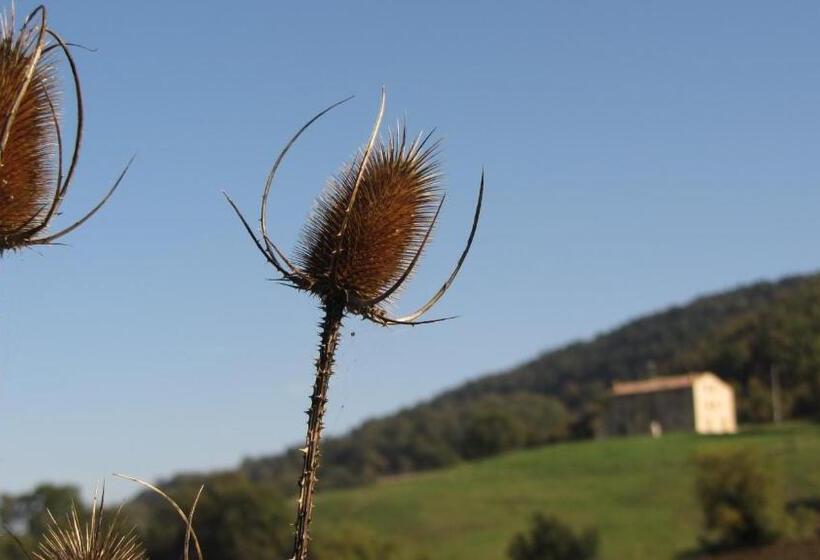 פנסיון Casale Le Fontanelle