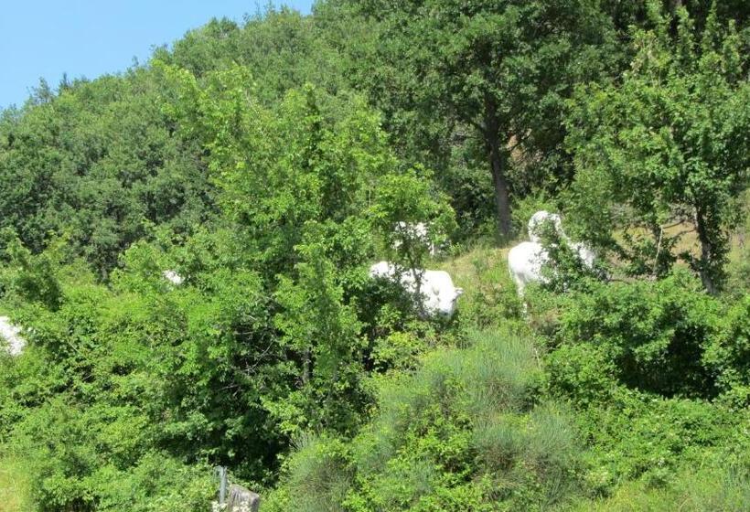 פנסיון Casale Le Fontanelle